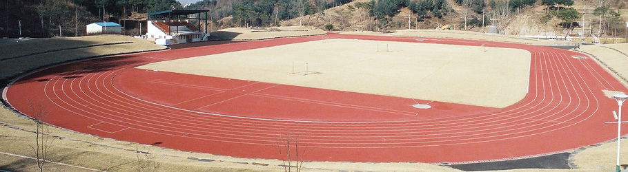 Guensam City Track, South Korea - Decoflex™ SW14 Athletic Flooring
